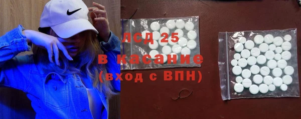 шишки Медногорск