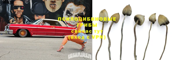 шишки Медногорск
