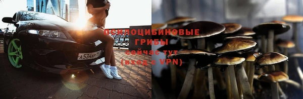 экстази Медвежьегорск