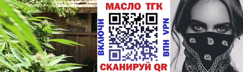 Купить где Гдов ТГК концентрат
